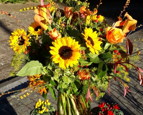 Planten in de winkel