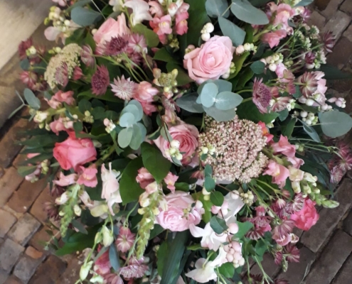 Planten in de winkel